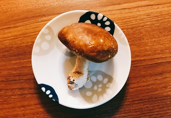 しいたけ【横】