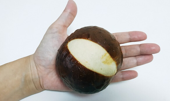 Pバンズ(手のり)