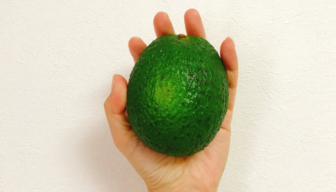 アボカド(サイズ感)